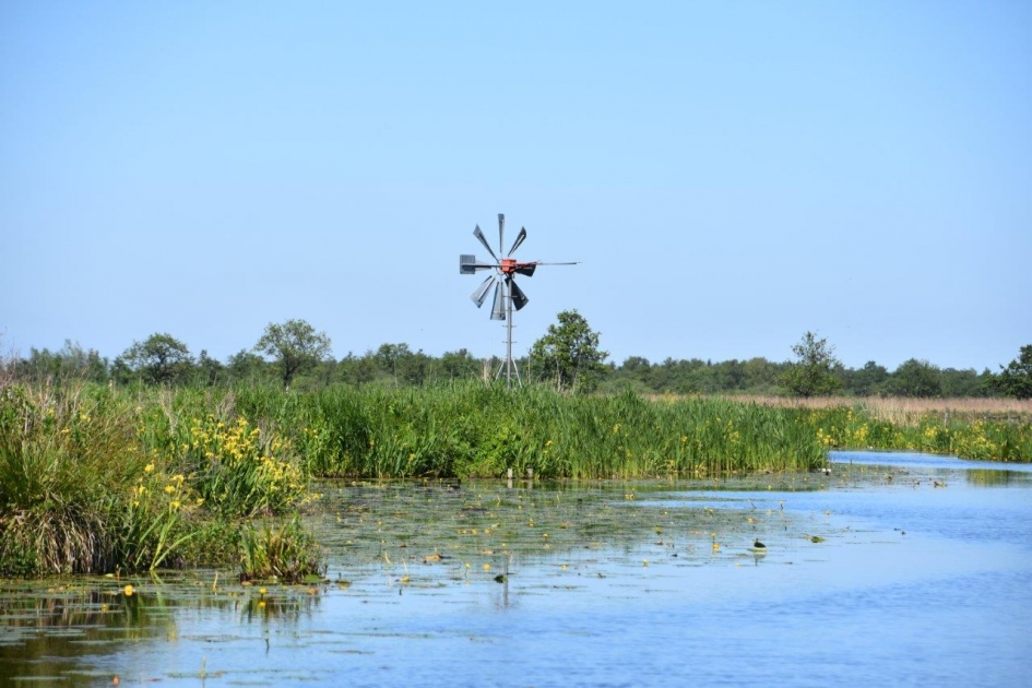 Nieuwkoopse Plassen - Weer en landschap - 