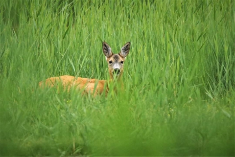 Op zoek naar broodnodig Water