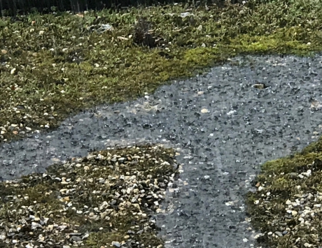 ...grote druppels op het platte dak