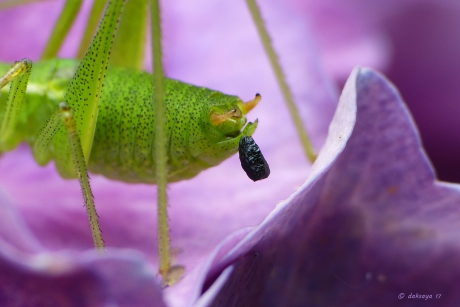 Moet ook gebeuren...