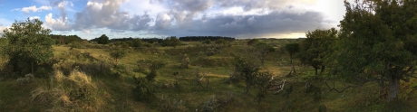 Panorama van de Amsterdamse Waterleidingduinen