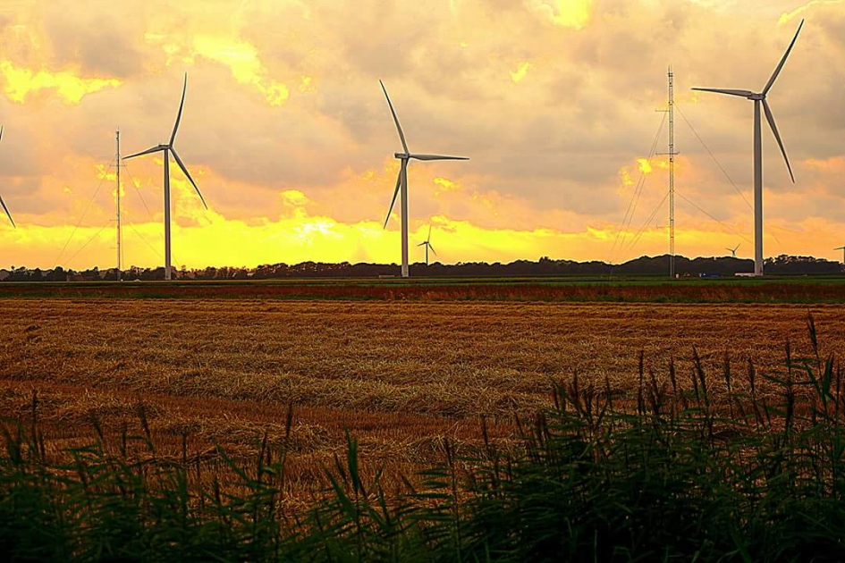Polder goud - Weer en landschap - 