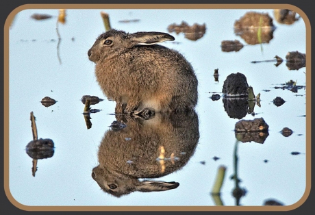 Spiegeltje Spiegeltje