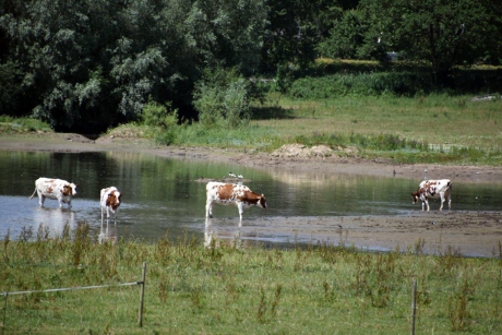 Tijdens de warme dagen...