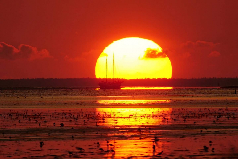 Wad zicht - Weer en landschap - Wat