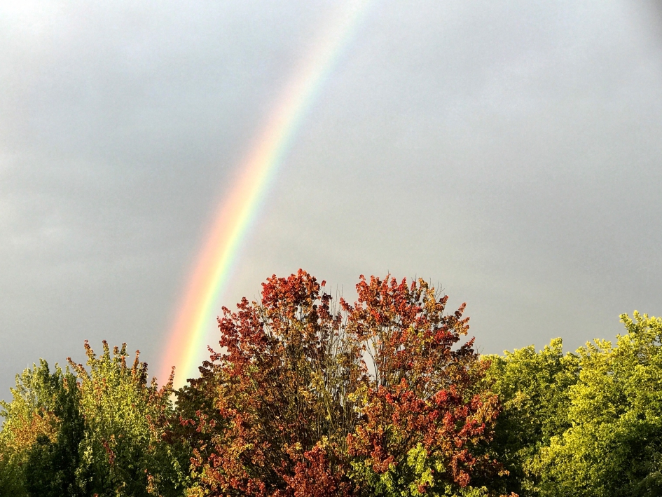 20:30 uur - Weer en landschap - 