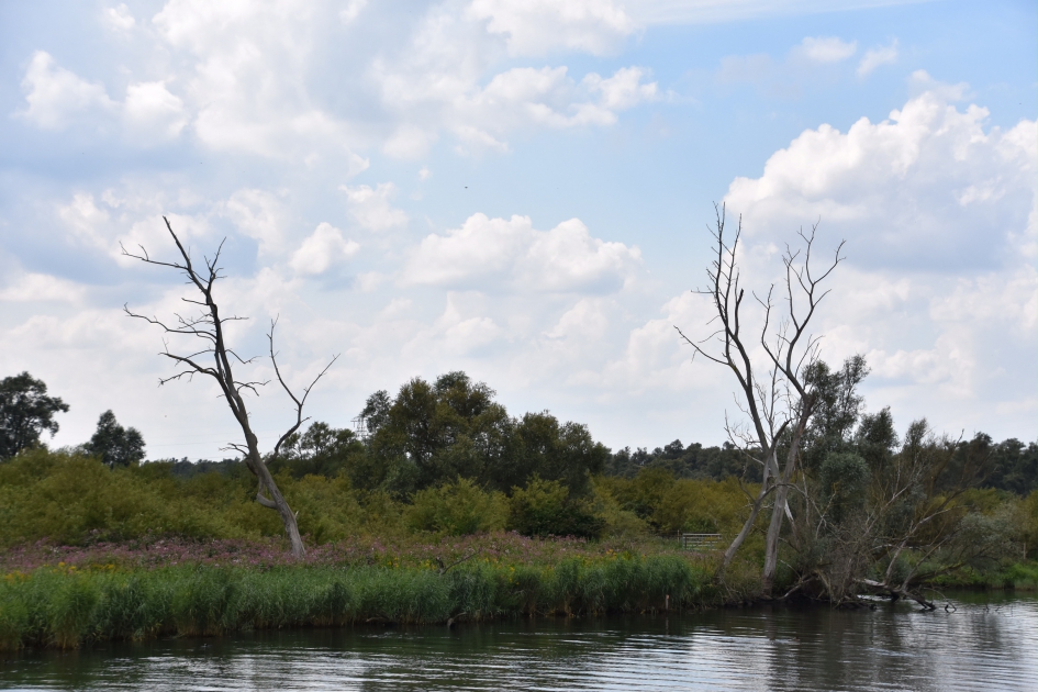 Biesbosch 2 - Weer en landschap - 