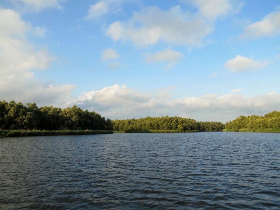 De Biesbosch - Weer en landschap - 