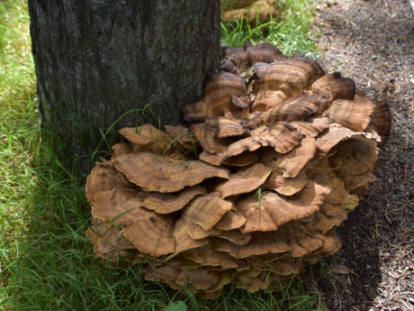 Derde waarneming vandaag!