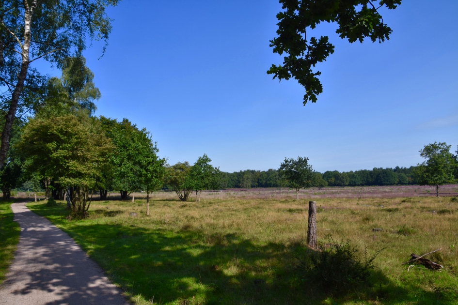 Goois Westerheide - Weer en landschap - 