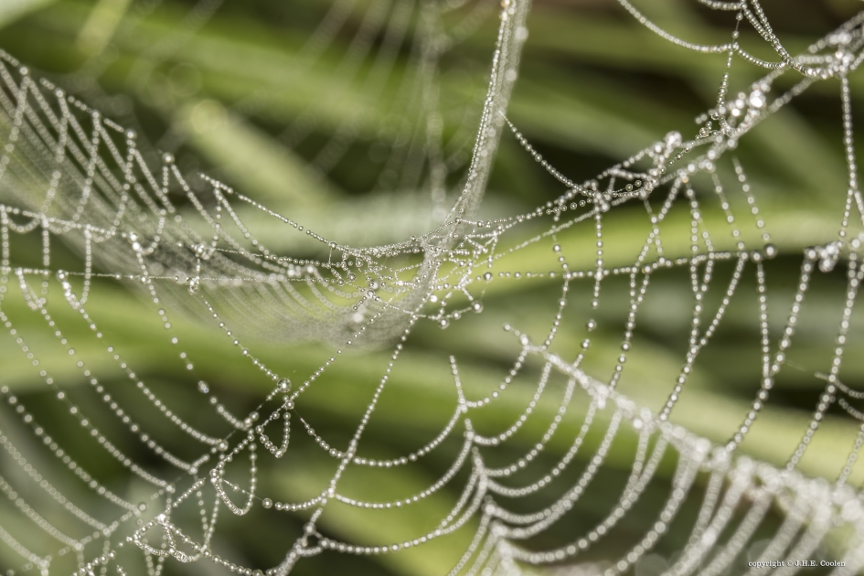 Hangmat - Weer en landschap - 