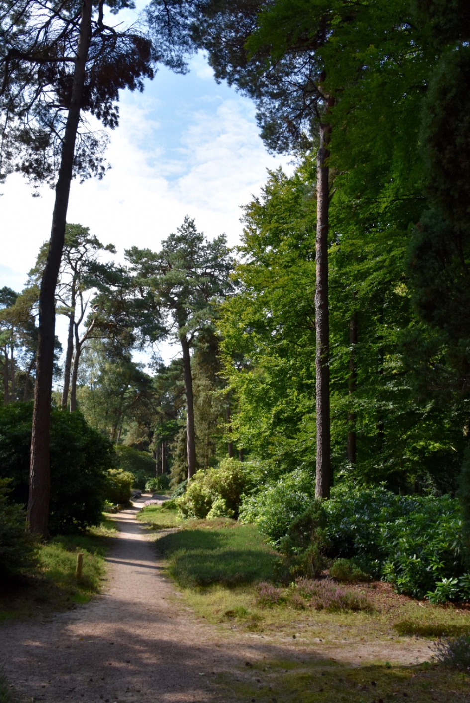 Heidetuin - Weer en landschap - 