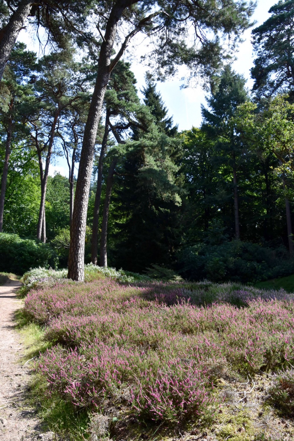 Heidetuin - Weer en landschap - 