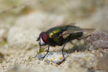In gedachten verzonken