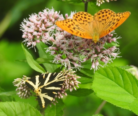 Lekker samen op de foto.