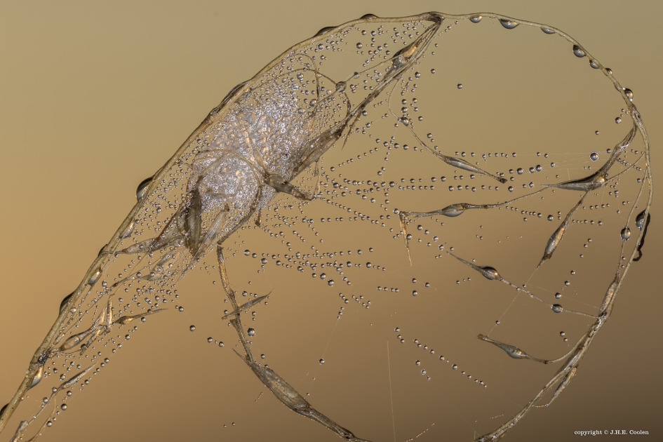 Natuurlijke kunst - Weer en landschap - 