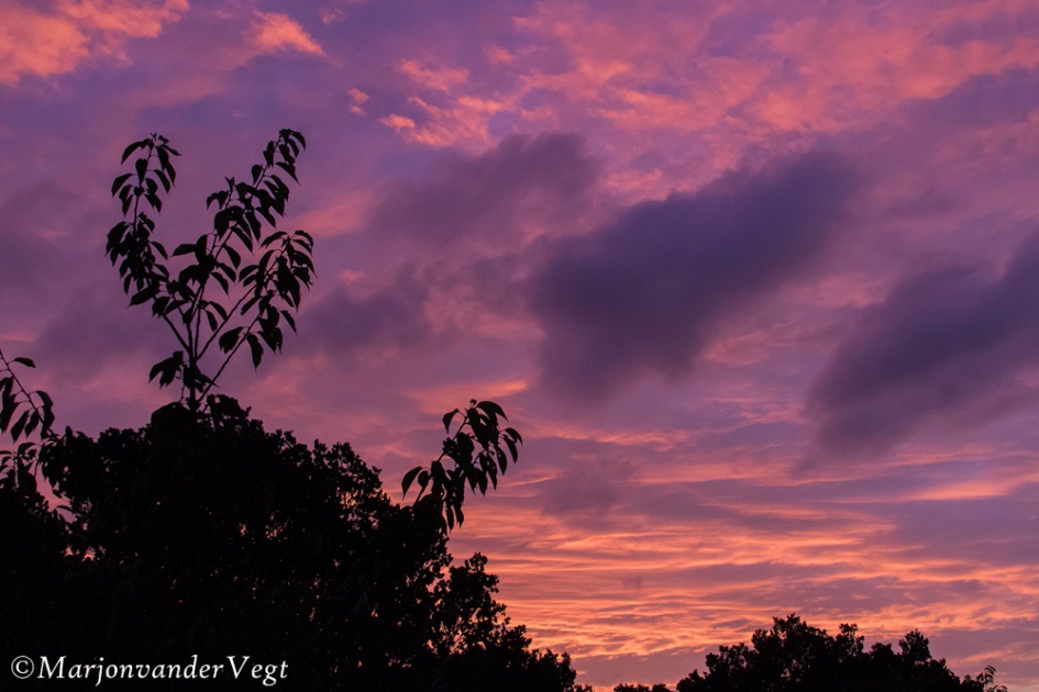 Purple sky - Weer en landschap - Avondrood