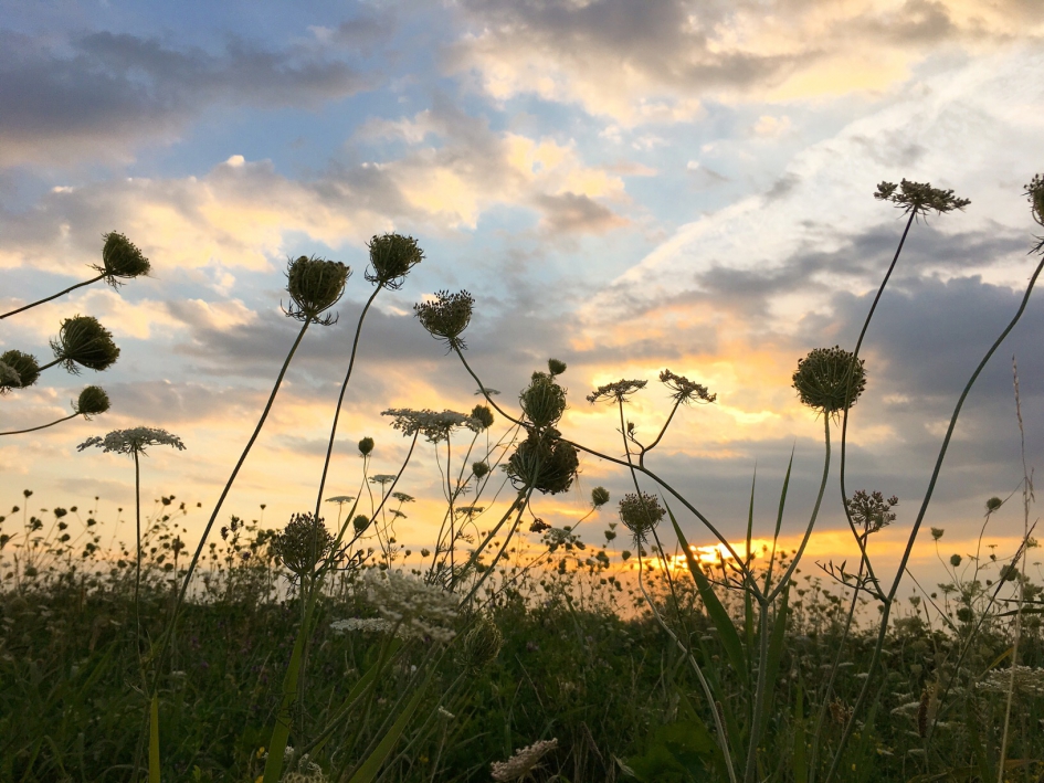 Zonsopkomst - Weer en landschap - 