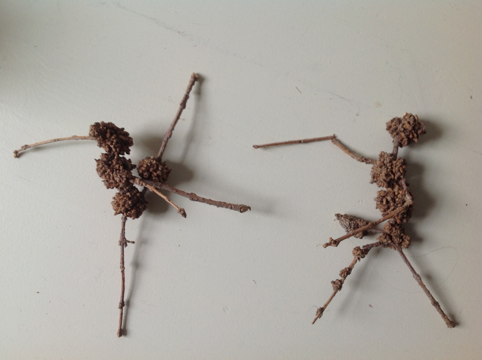 De ballerina en de man - Planten - Forsythia