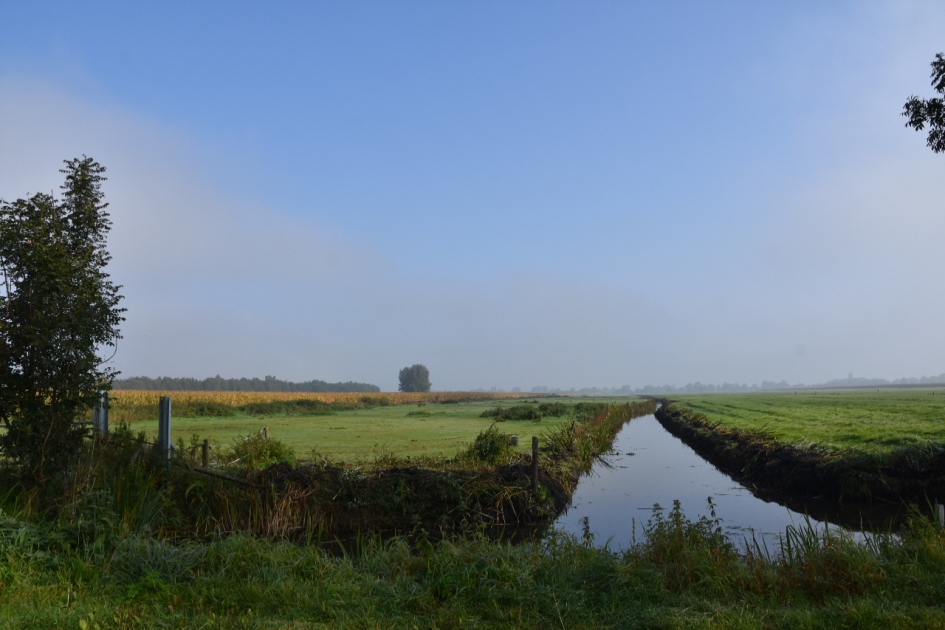 De polder... - Weer en landschap - 