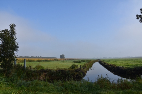De polder...
