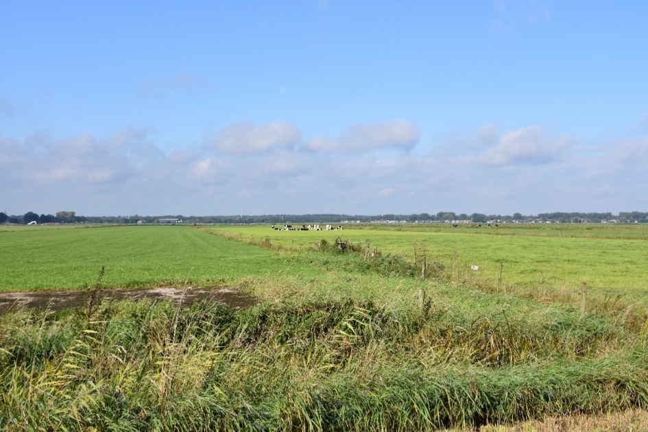 Eemland polder - Weer en landschap - 
