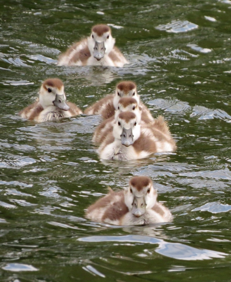 Even recht in de lens kijken!