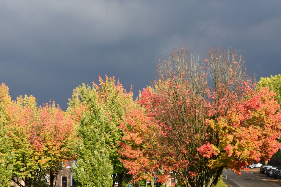 Gisterenavond - Weer en landschap - 