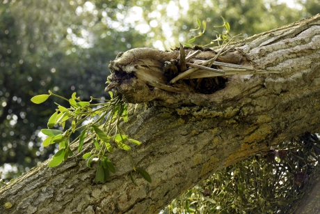 Het is nooit wat het lijkt