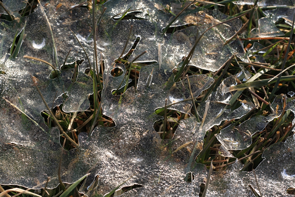 ijskonijntje - Weer en landschap - 