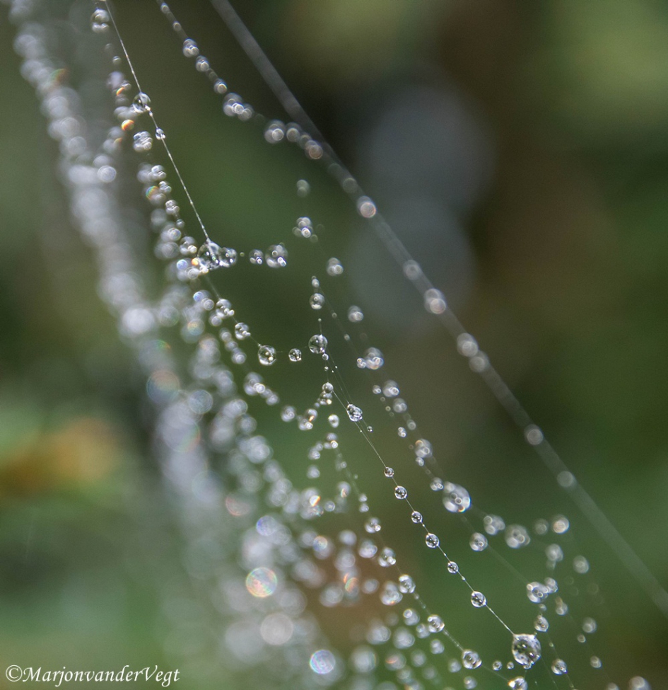 Ik rijg jouw tranen - Overig - Regendruppels