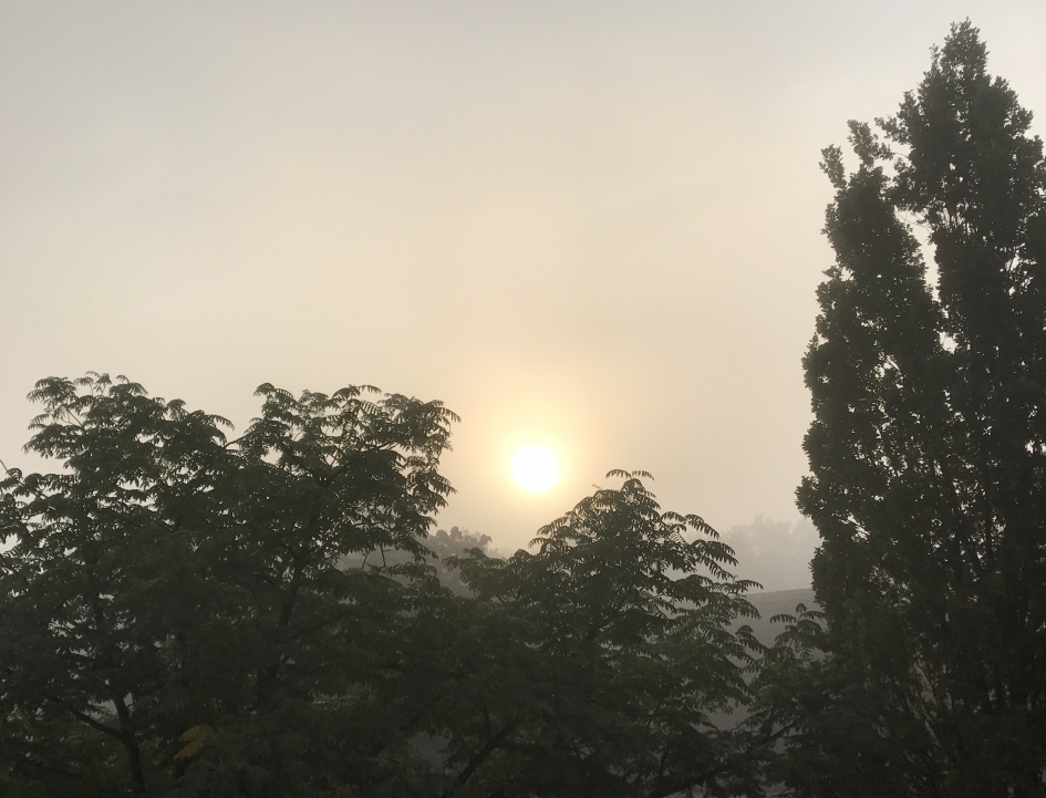 "kleine wereld" - Weer en landschap - 