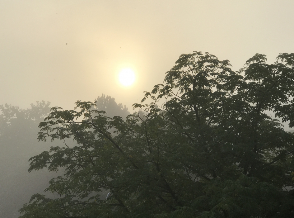 "kleine wereld" - Weer en landschap - 