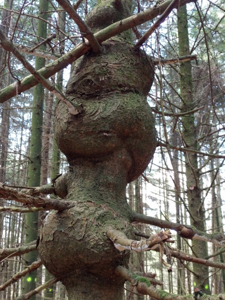 Lork of Marsmannetje