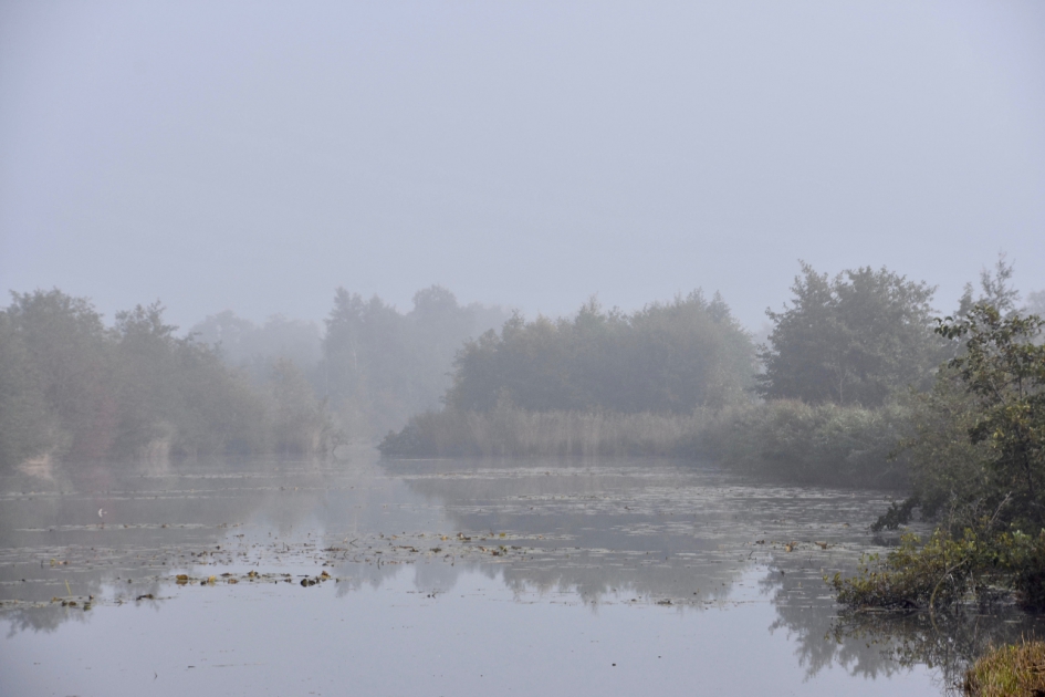 Molenpolder - Weer en landschap - 