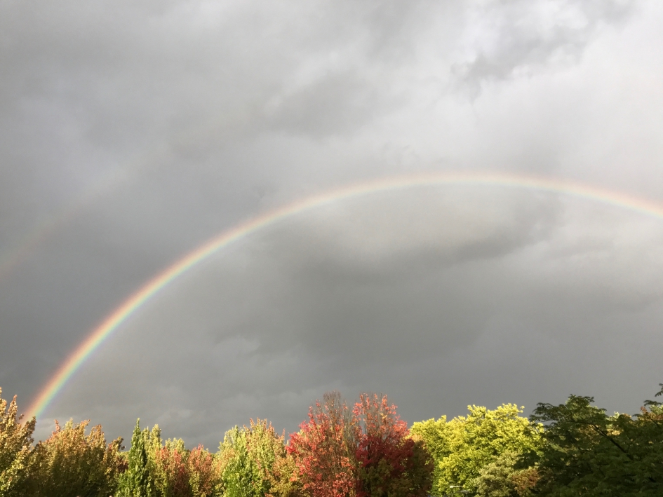 Regenboog, 18:45 uur - Weer en landschap - 