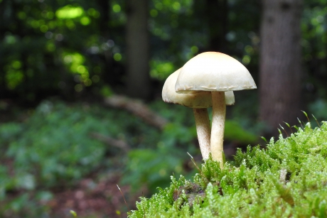 Samen ben je niet alleen