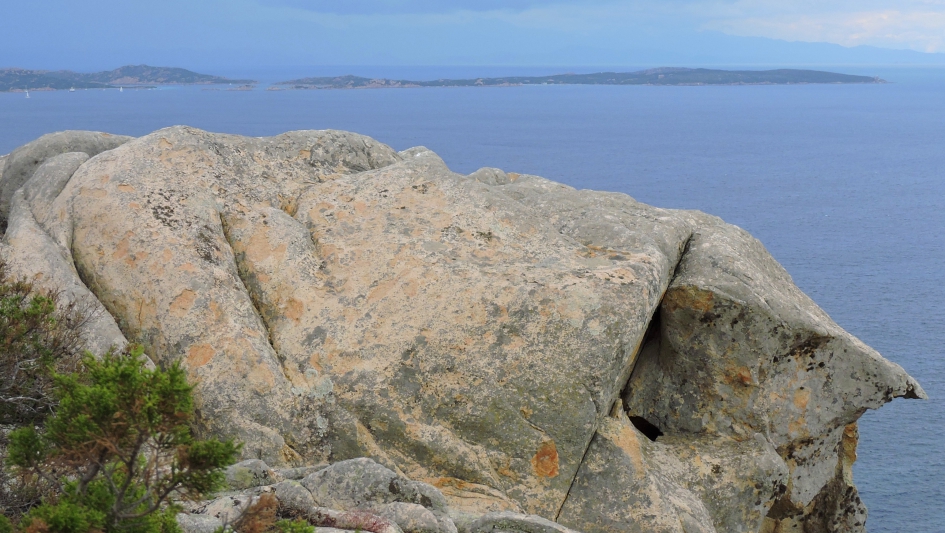 vreemde vorm - Overig - 