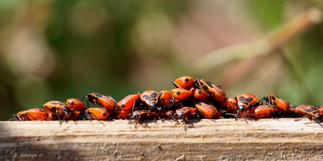 We zijn stapel op elkaar