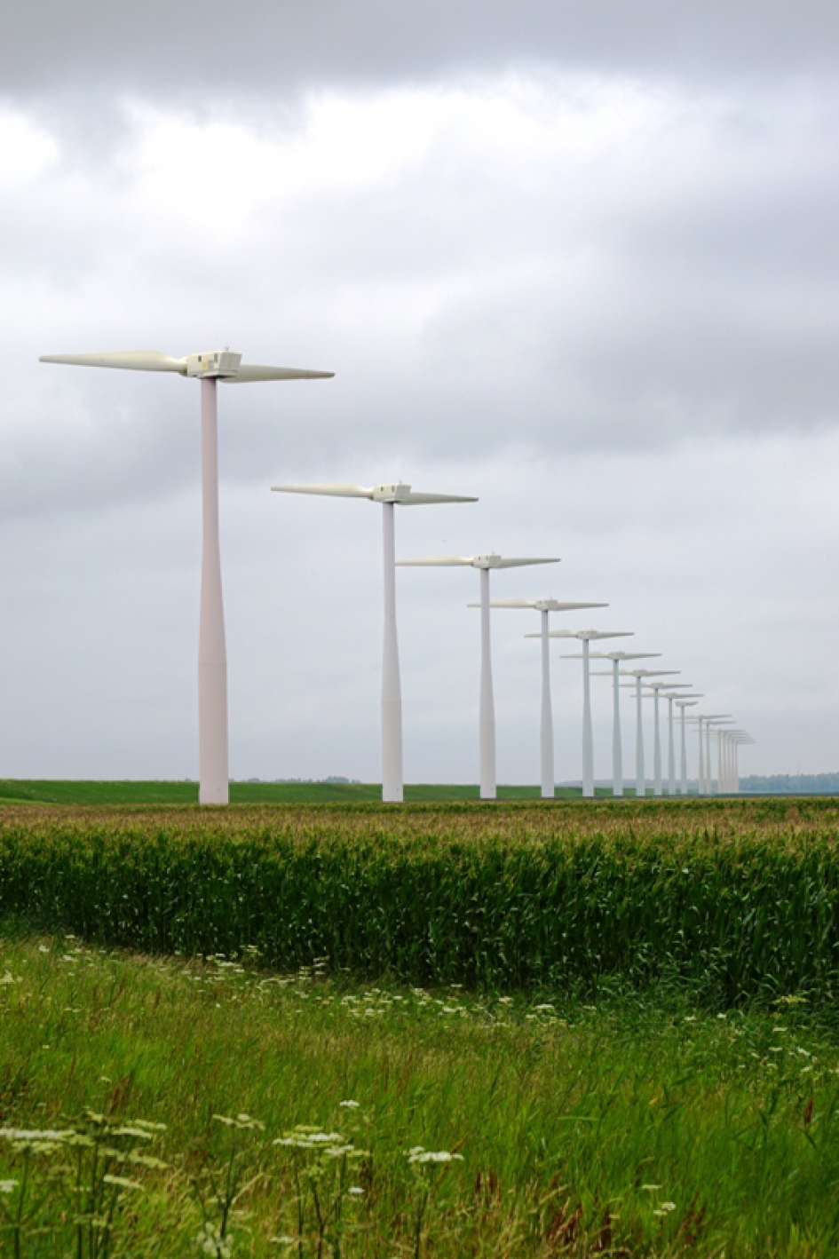 Windstilte in Flevoland - Weer en landschap - Silence