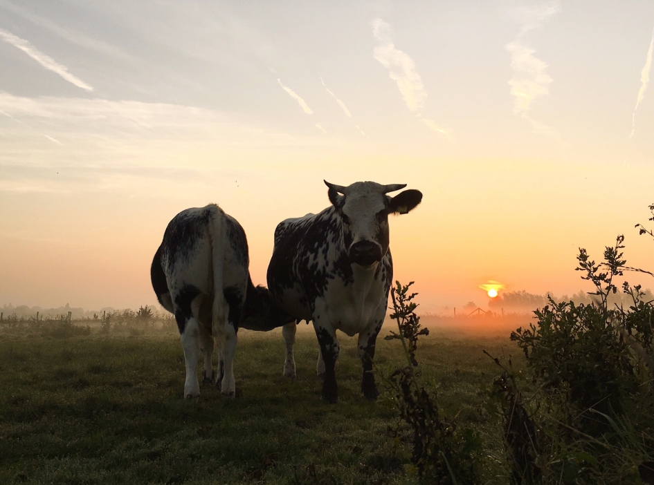 Even drinken - Weer en landschap - 