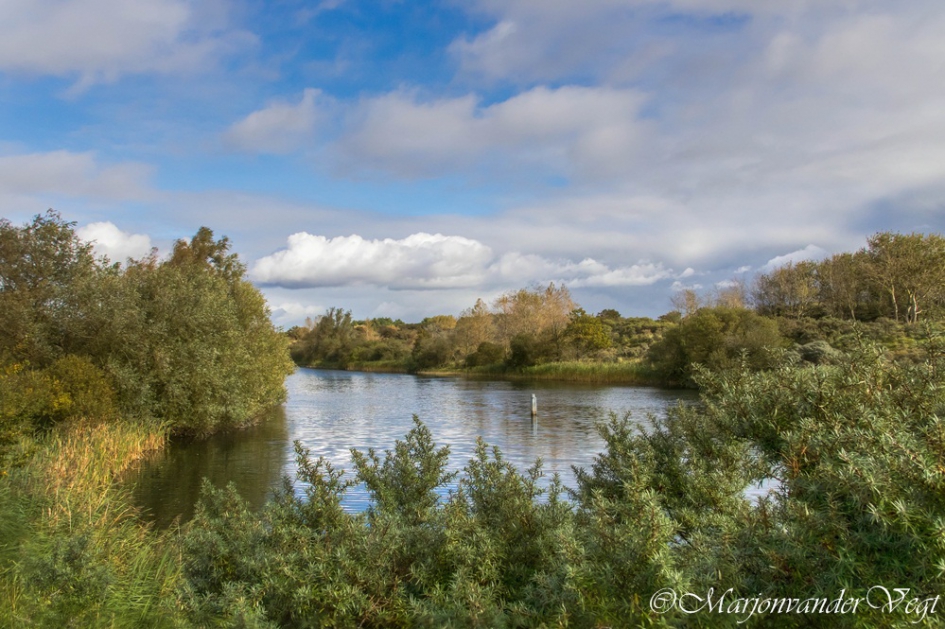 Duinen - Weer en landschap - Duinen