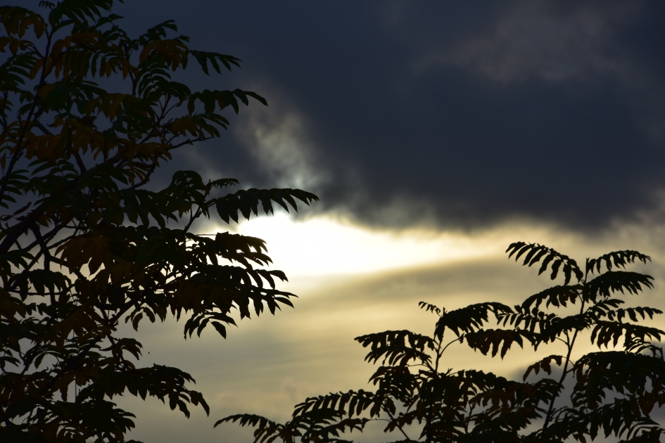 Gisterenmorgen - Weer en landschap - 