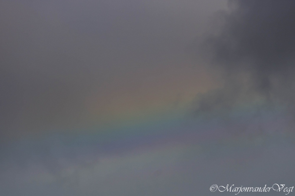 Het is er weer voor - Weer en landschap - Regenboog