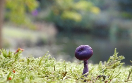Klein maar opvallend