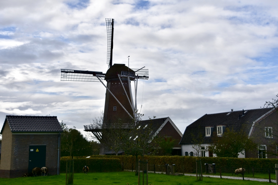 Molen - Weer en landschap - 
