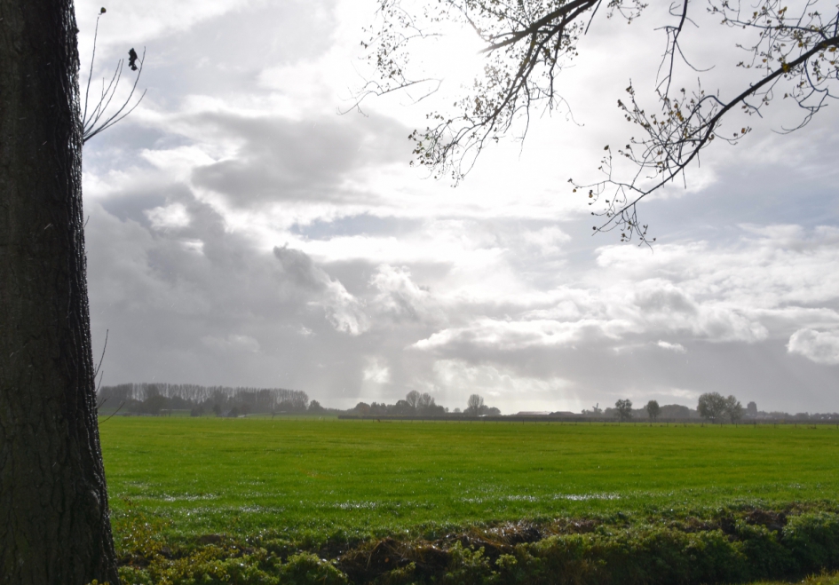 Na een regenbui - Weer en landschap - 