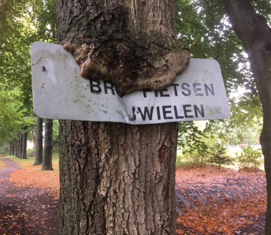 Natuur altijd sterker! - Overig - 