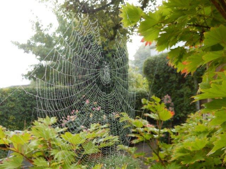 Ragfijn kunstwerk - Weer en landschap - 