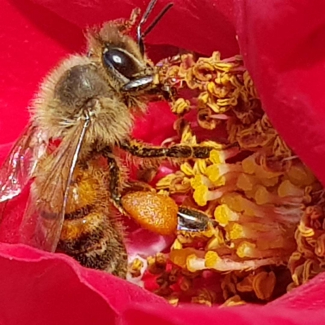 Smullen van het lekkerst